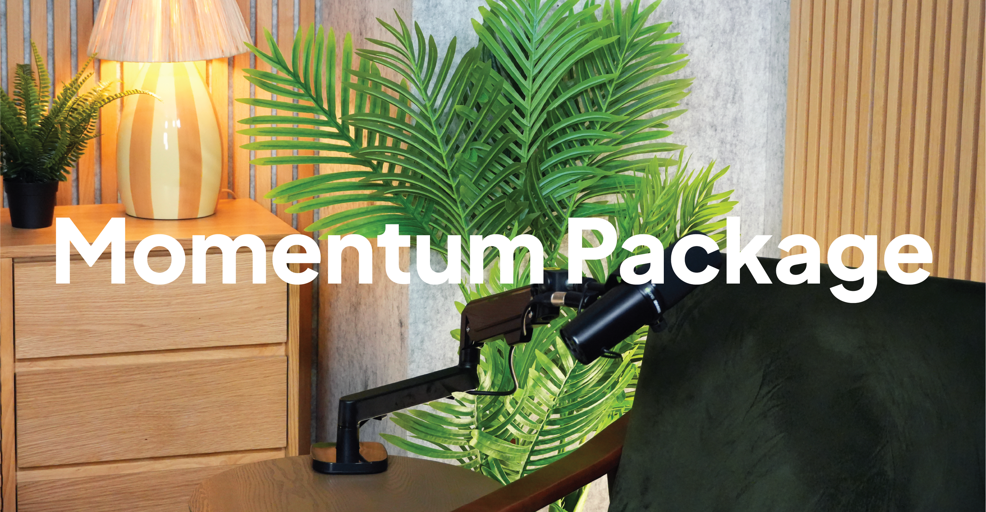 Momentum Package